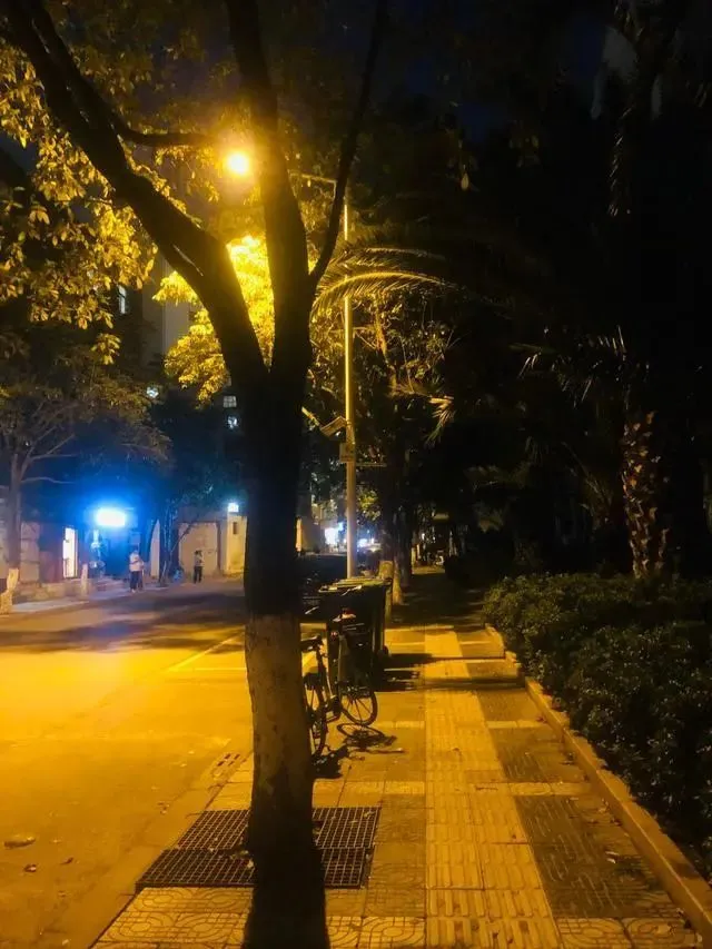 每晚夜里自我独行随处荡多冰冷_冷夜中我独自行走_每晚夜里自我独行歌词