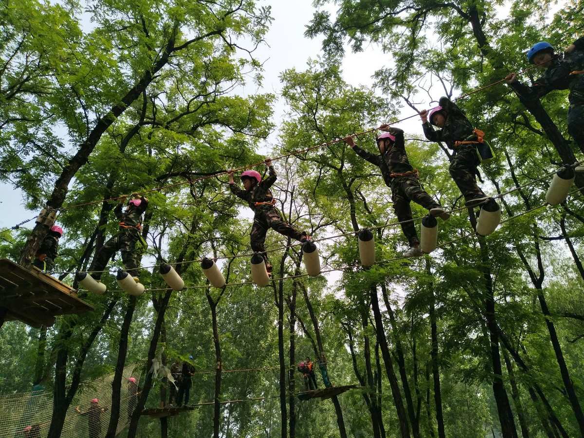 丛林游戏2再战巅峰国语在线_穿越丛林游戏_丛林游戏