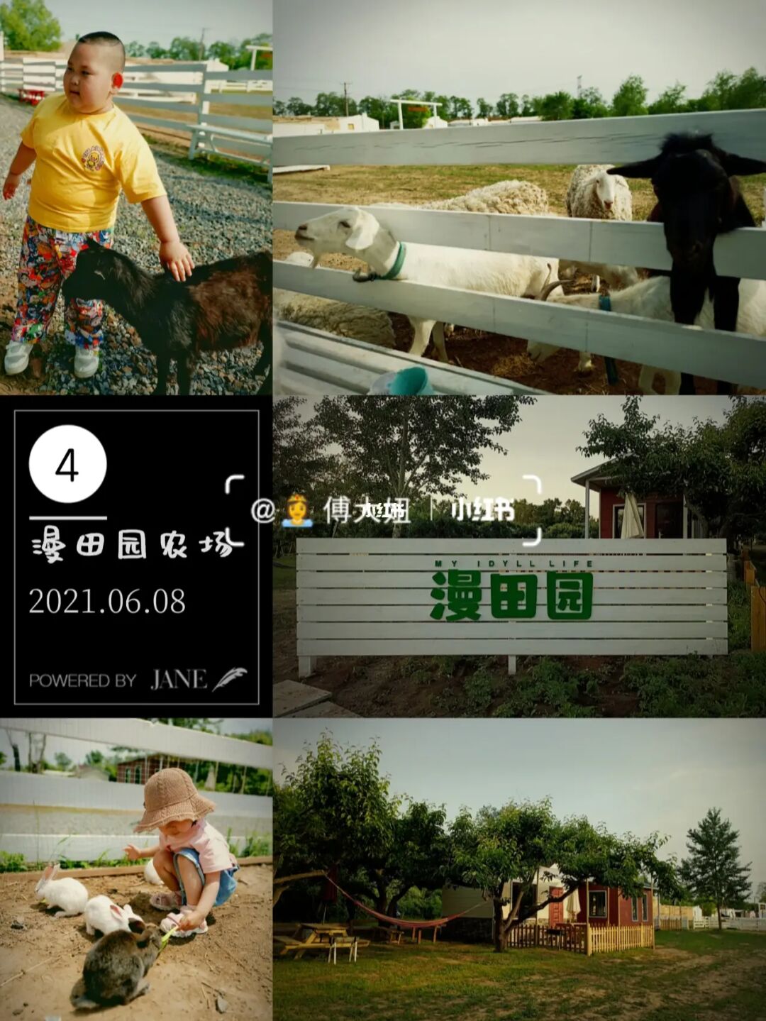熊出没熊熊农场_熊出没的农场_熊出没之熊大农场