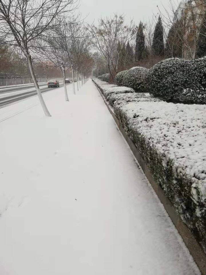 视频下雪特效app_下雪的视频_视频下雪了