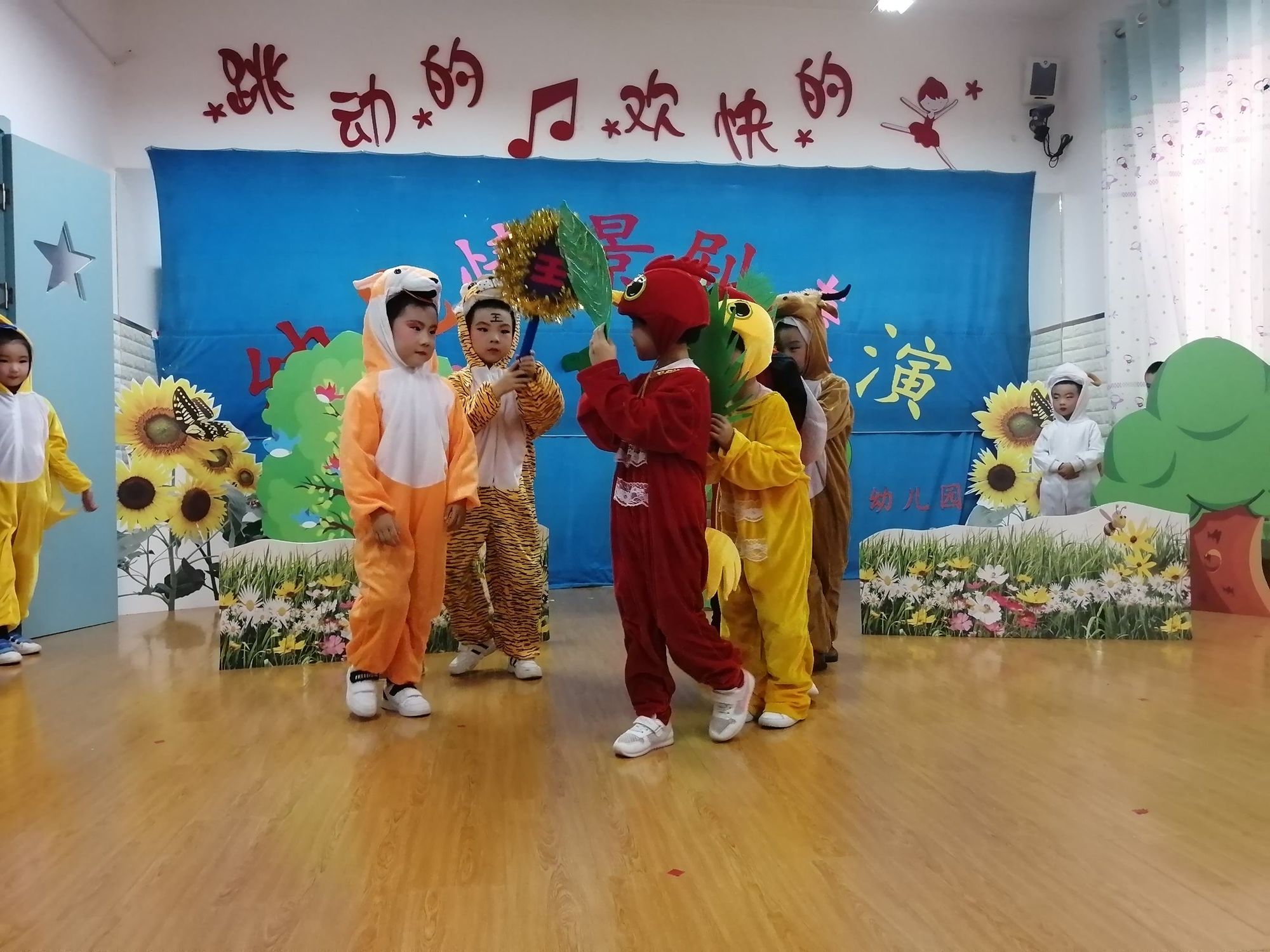鹦哥岭_鹦哥鱼_鹦哥
