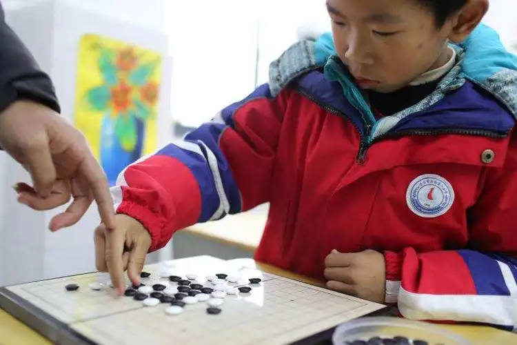 狸图片大全大图_图片狸猫_狸子图片