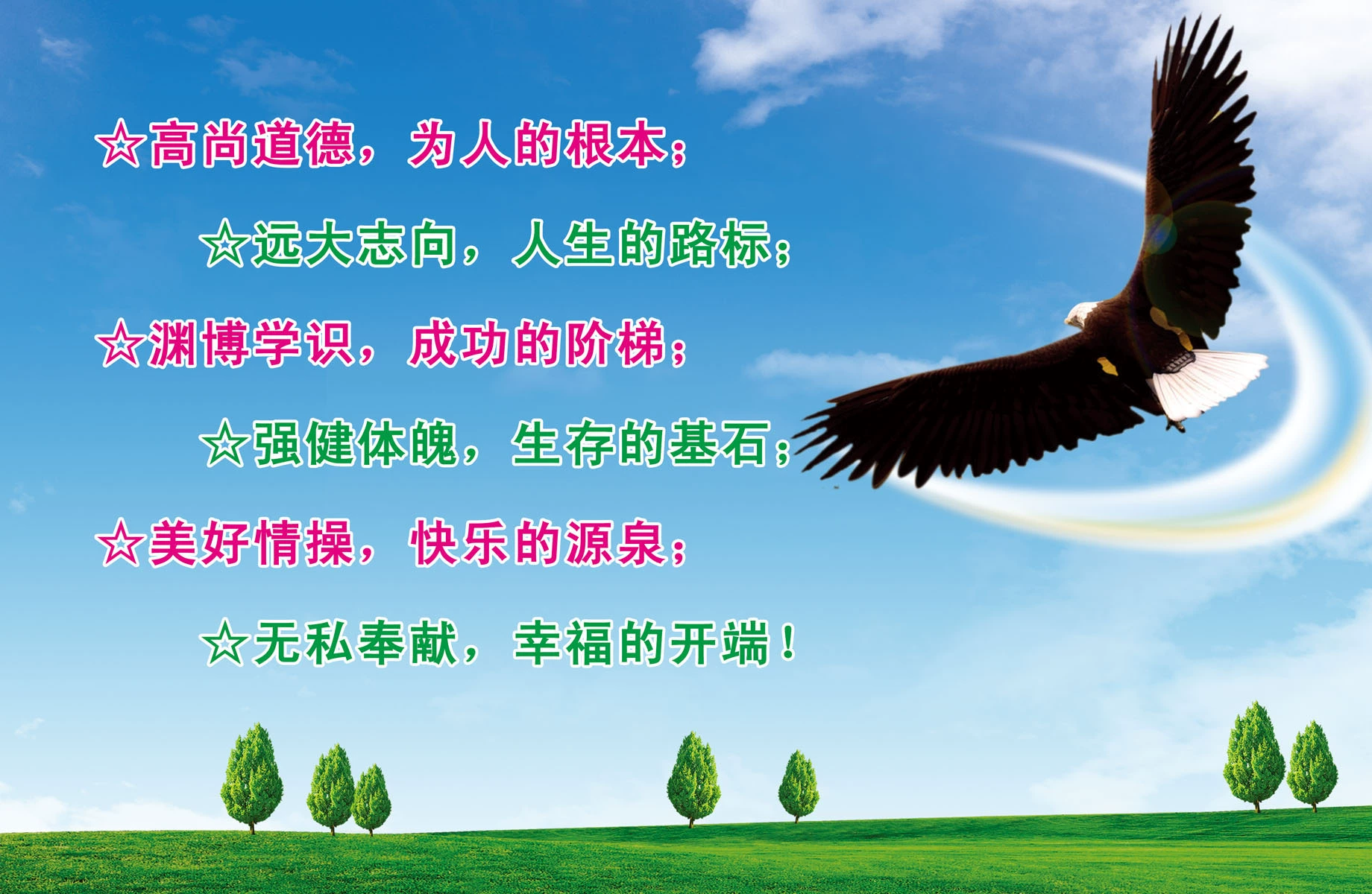 含羞草免费无窗口打开_视频观看在线含羞草免费下载_含羞草视频在线免费观看