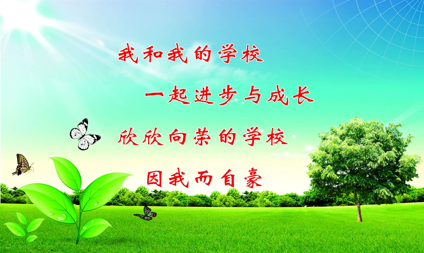 含羞草视频在线免费观看_视频观看在线含羞草免费下载_含羞草免费无窗口打开