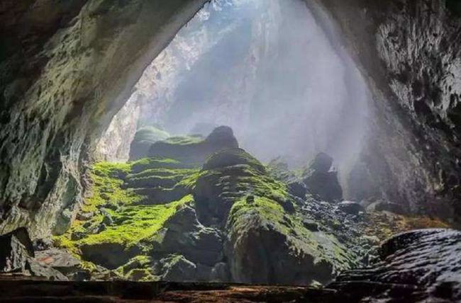 岩陀是什么药材_岩陀_岩陀功效和作用主治