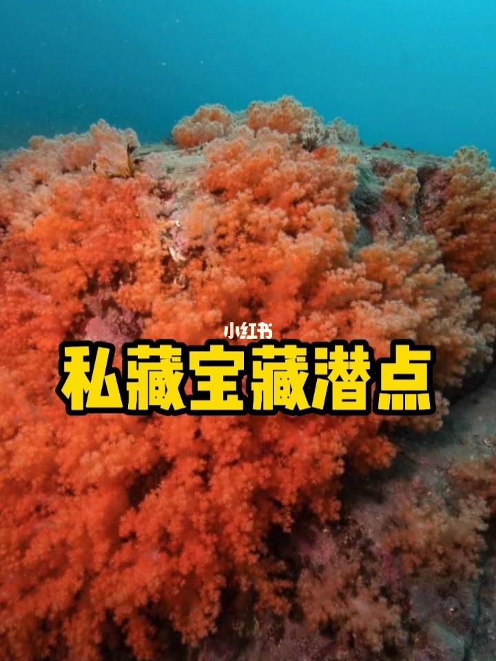 池鱼思故渊的渊_东海渊