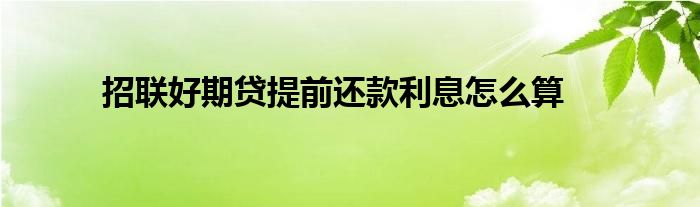 美团提前还款是大忌_还款大忌提前美团是怎么回事_美团还款怎么提前还款