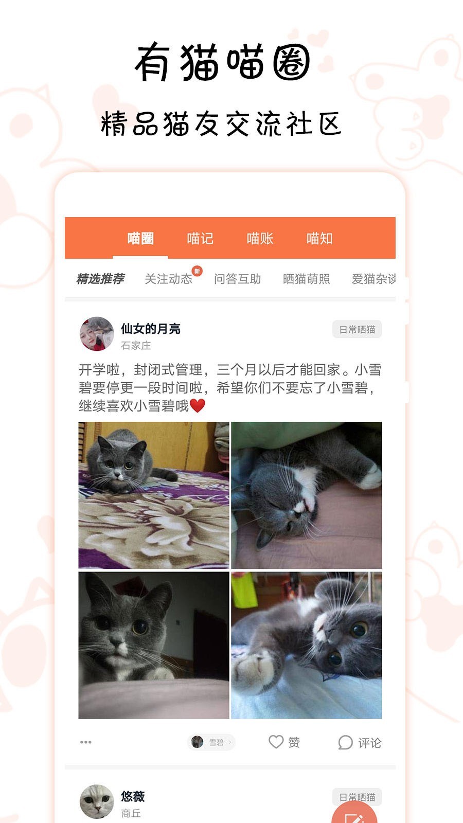 快猫软件下载_猫下载地址_埃及猫下载软件