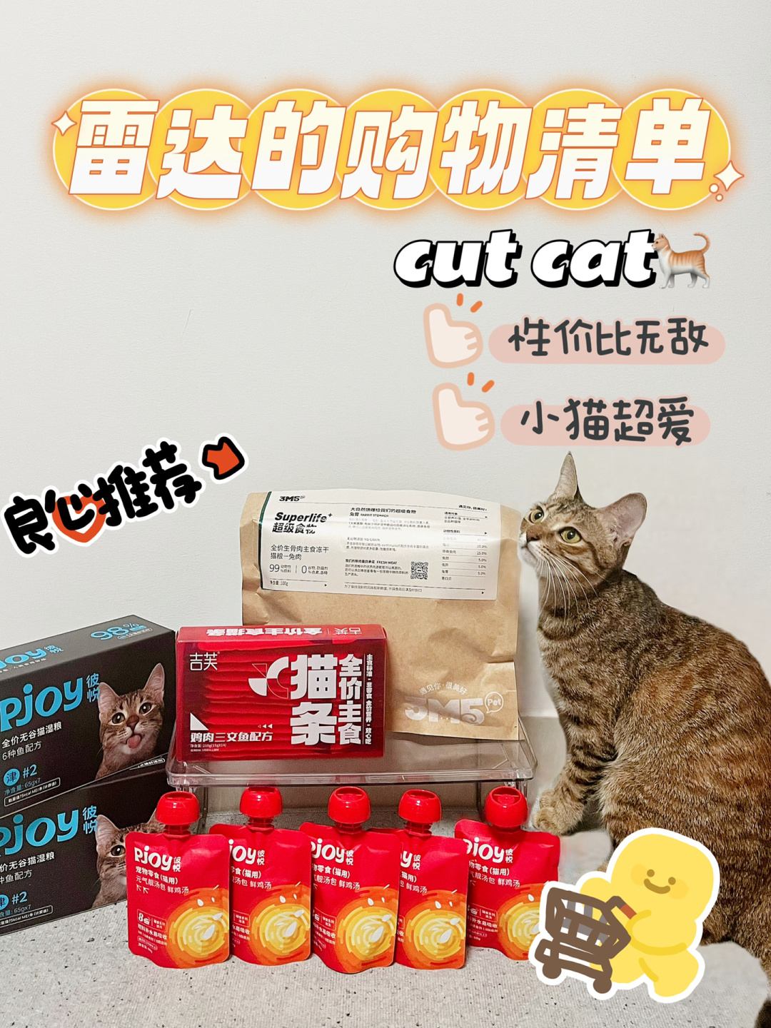 猫咪成人_小猫咪小猫咪