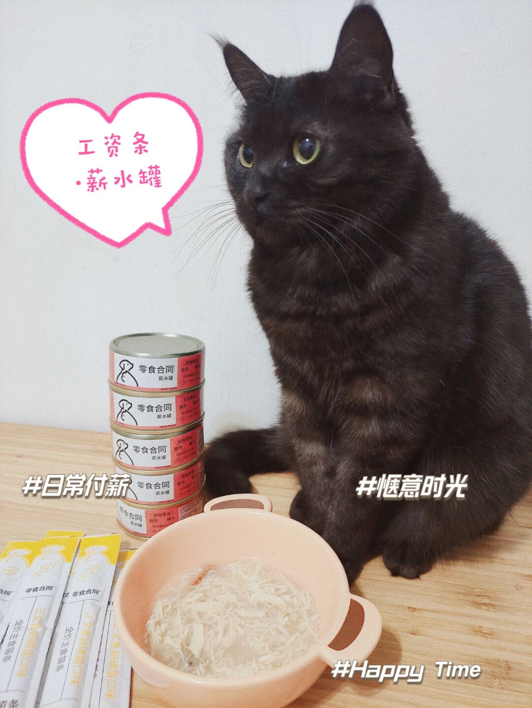 猫咪成人_小猫咪小猫咪