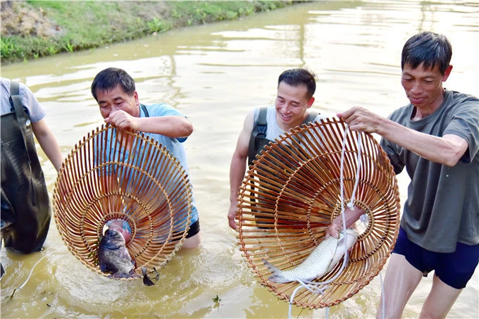 捕鱼达人之海底捞_捕鱼之海底捞美人鱼_捕鱼之海底捞修改