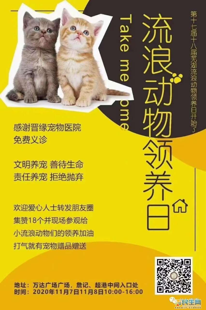 养各种宠物的游戏_养宠物游戏_养宠物游戏大全