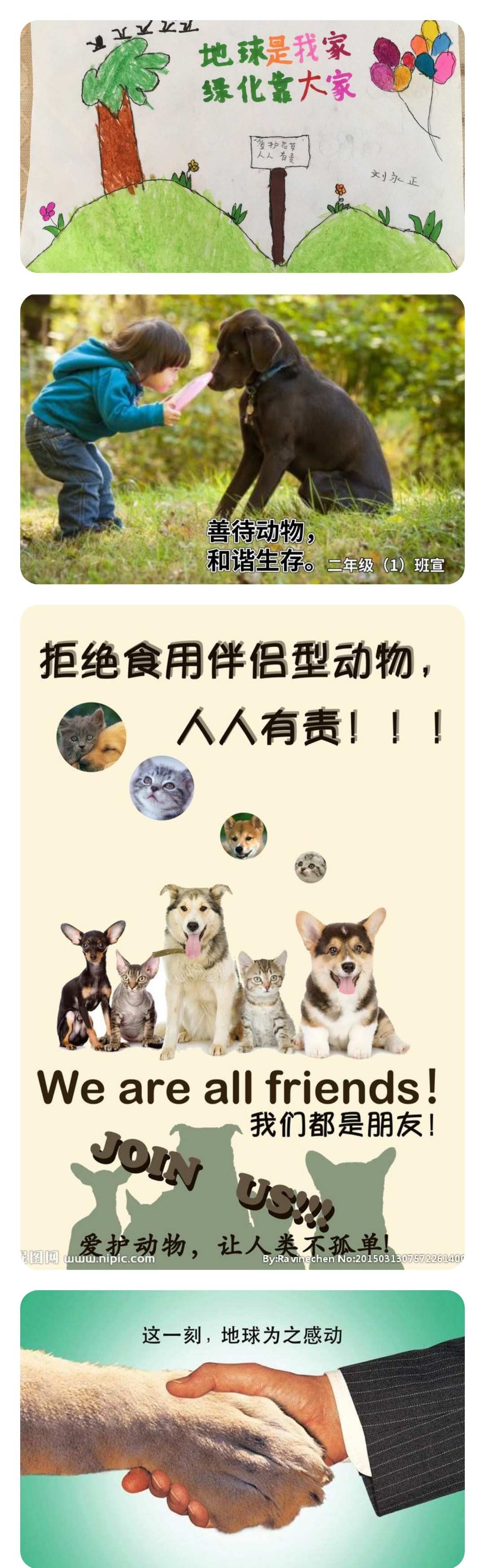 养宠物游戏_养各种宠物的游戏_养宠物游戏大全