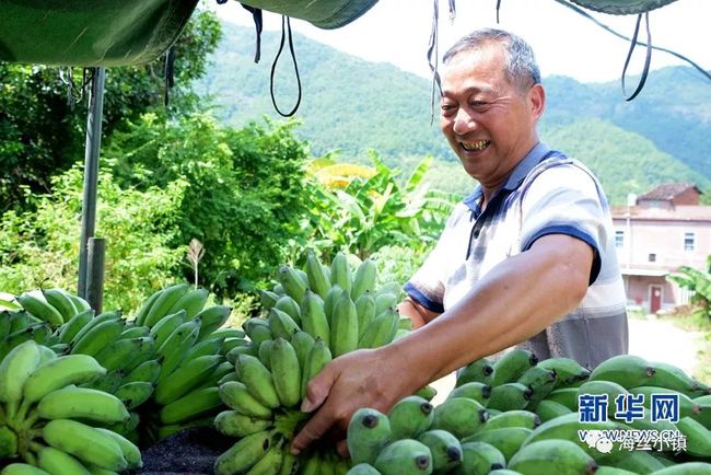香蕉在线精品视频在线app_牛牛在线精品视频(正)_在线精品视频熟女