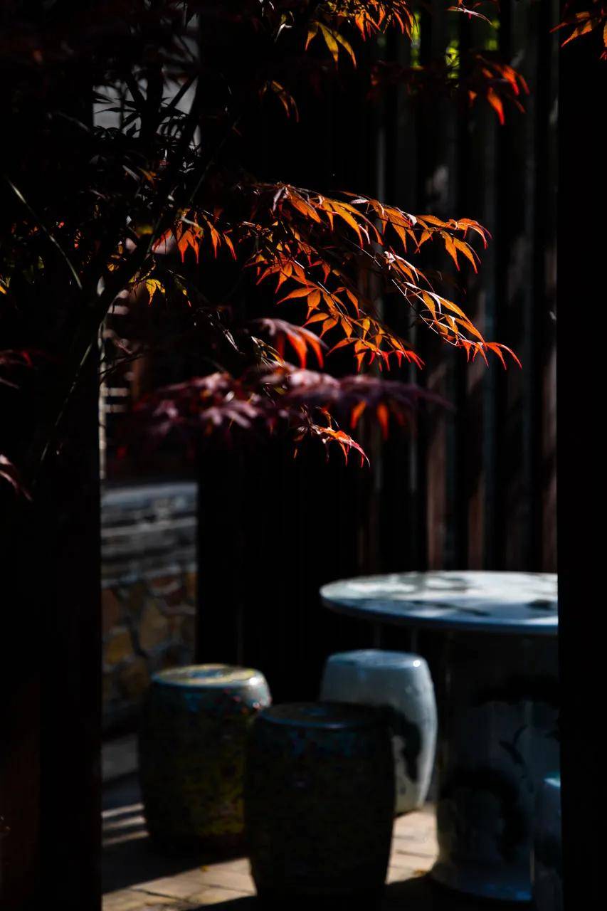 原神鹤观石板的碎片位置图解_鹤观石板_原神石板鹤观怎么用
