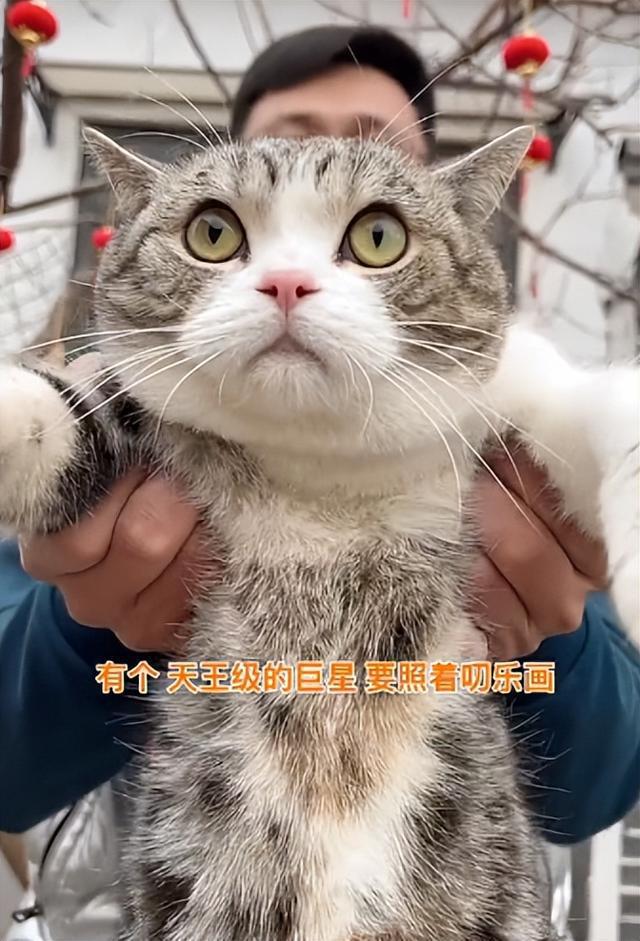 抖咪_抖咪视频直播_抖咪d.m