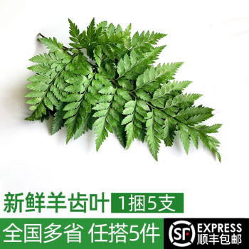久草热久草在线视频_久草8_轻草久草在线