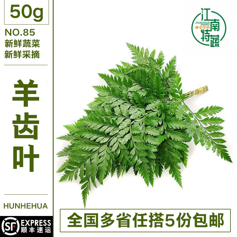 轻草久草在线_久草8_久草热久草在线视频