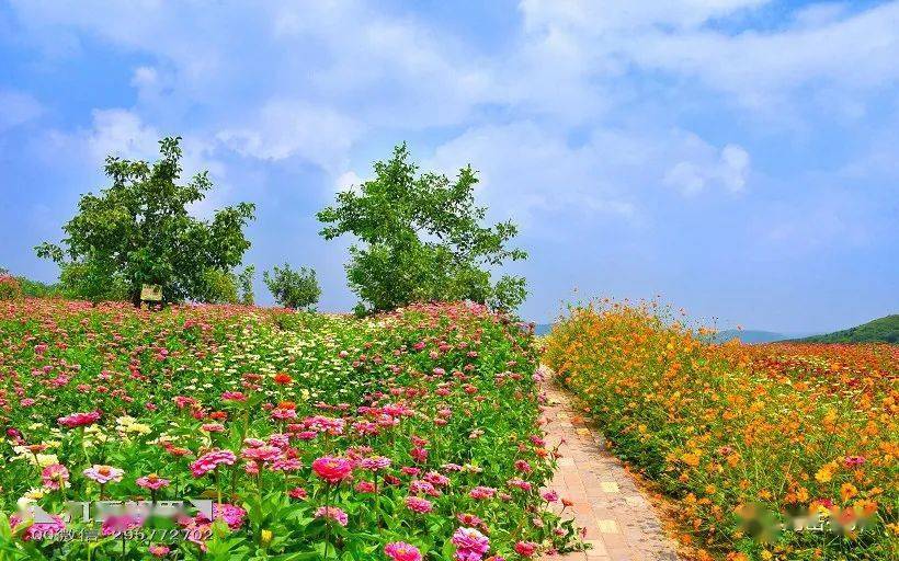 花园乐趣的句子_花园的乐趣4399_花园乐趣月季图片