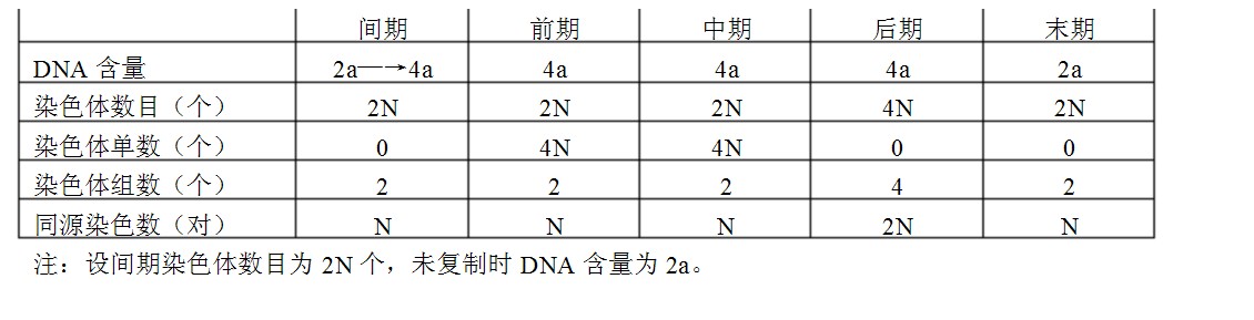 重生细胞_细胞免疫应答细胞_细胞分裂5