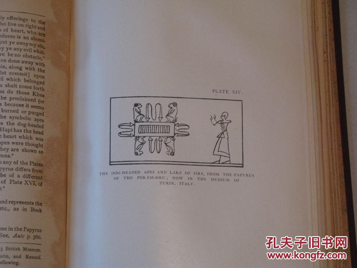 密特罗德_密特罗德emmi_罗德密特生存恐惧怎么样