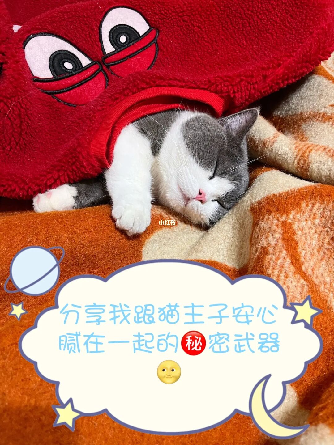 成人喵酱极乐净土裸舞网址_快喵成人app_喵见app是什么