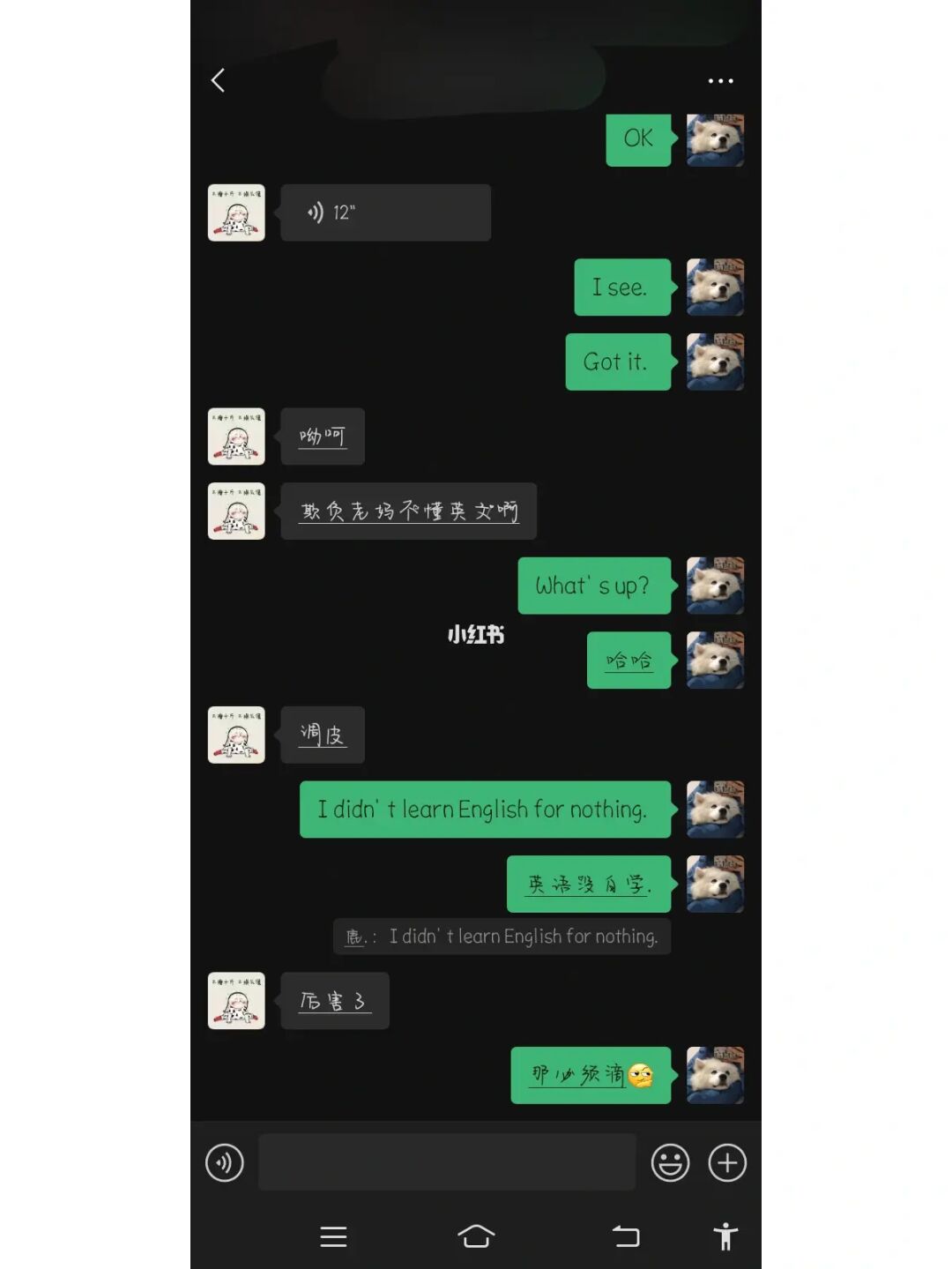 每天，我们都在欢友聊天中度过最快乐的时光