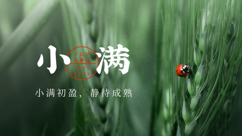 度小满下载_小满小度小度_度小满下载地址