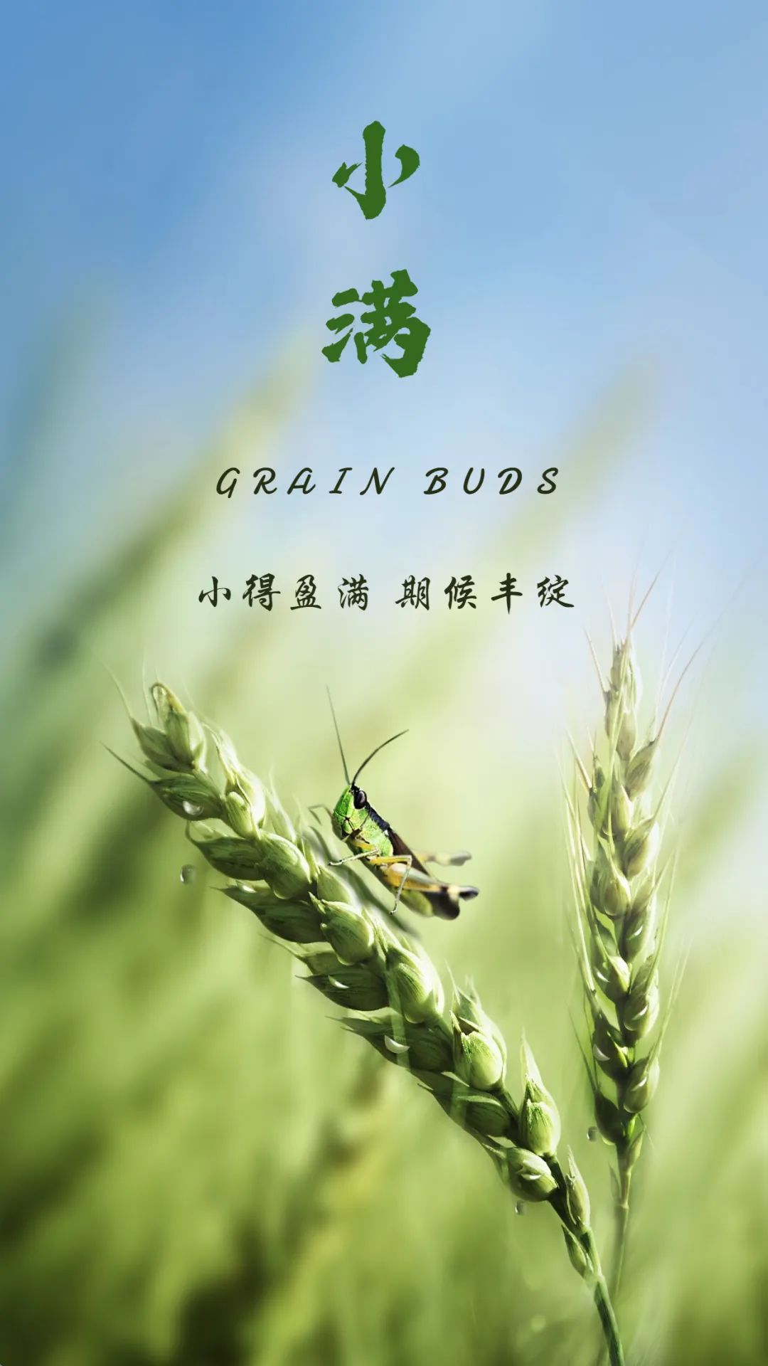 度小满下载地址_度小满下载_小满小度小度
