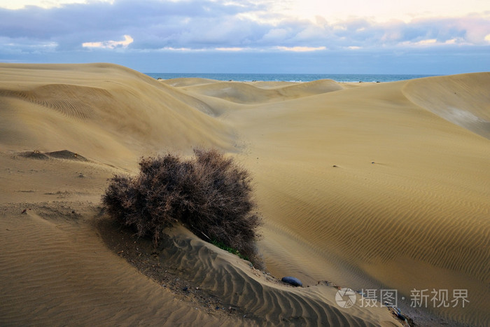 沙丘下载：体验独特玩法，感受成就的手机游戏