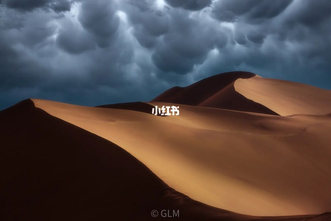 沙丘下载迅雷_沙丘下载WMA_沙丘下载