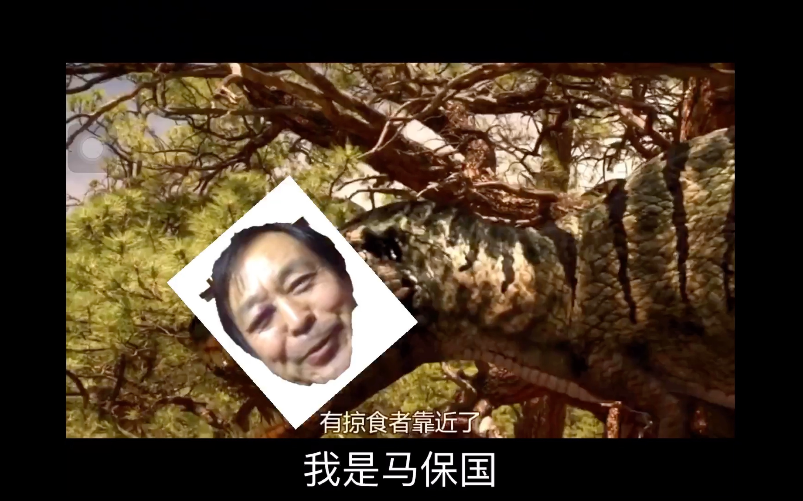 阿马加龙_马龙加起来是什么字_马龙加入国家队的时间