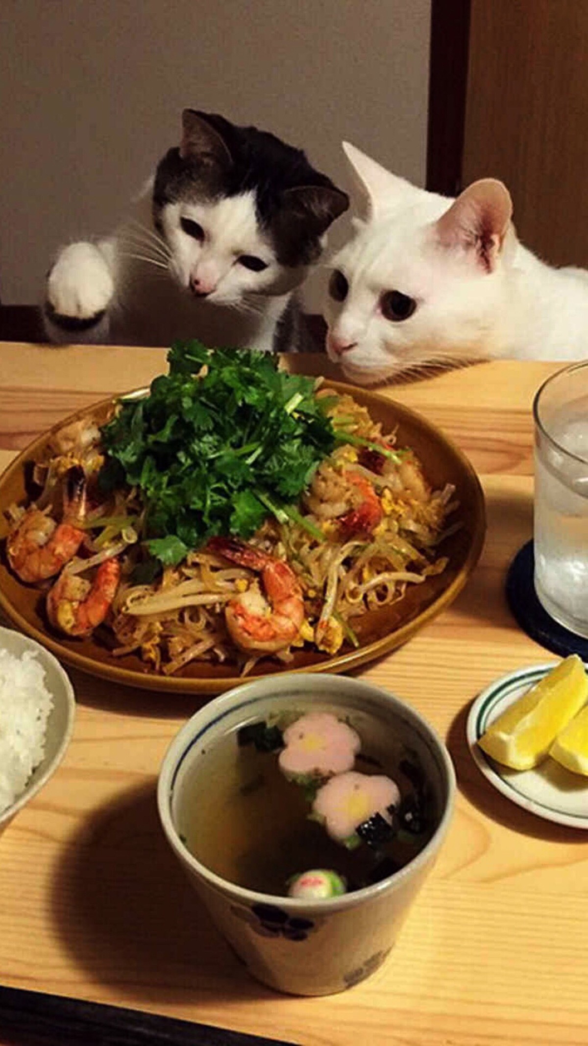 掠食2_掠食小说_掠食城市四部曲