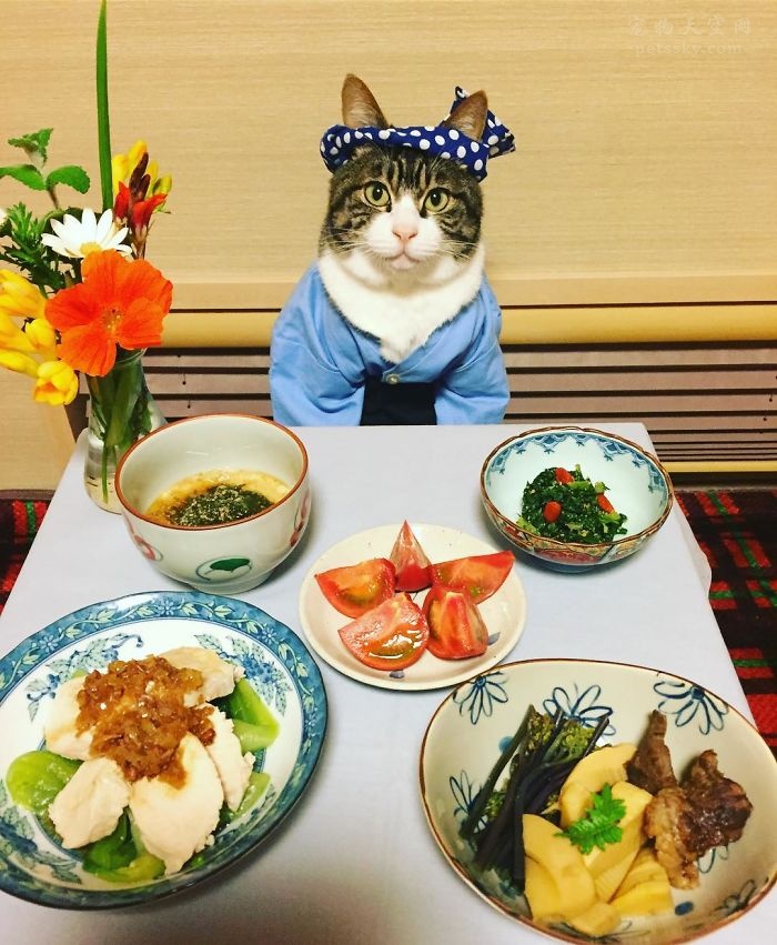 掠食城市四部曲_掠食小说_掠食2
