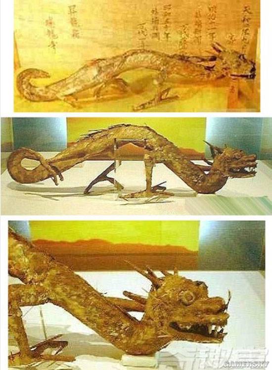 龙物视频_龙物视网上_龙物视频大全图片