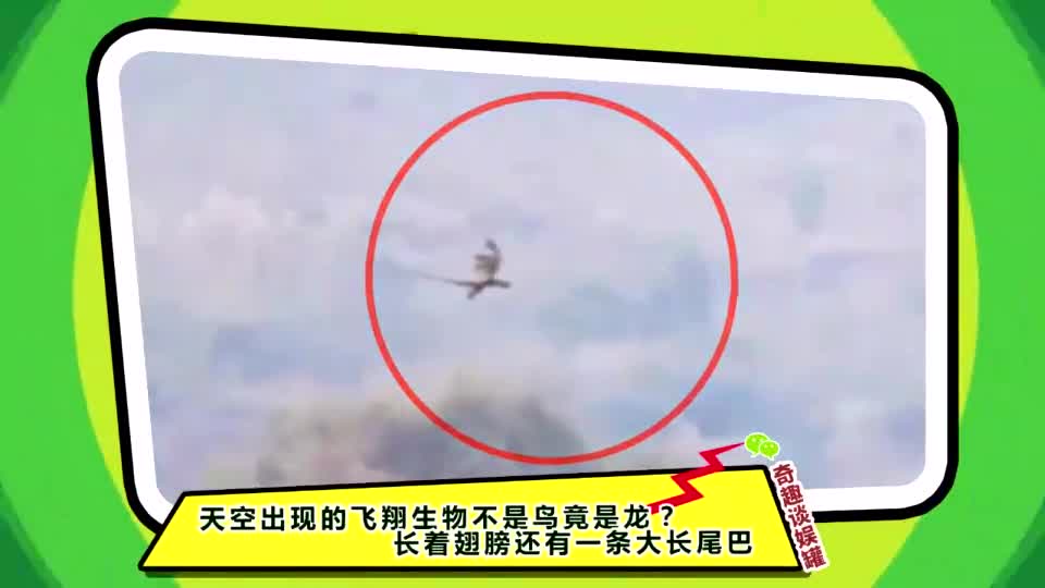 龙物视频_龙物视网上_龙物视频大全图片