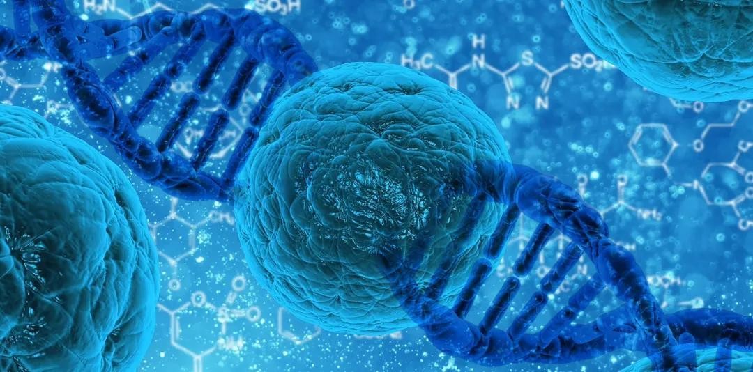 细胞重生_重生细胞破解版免付费_重生细胞内置作弊菜单
