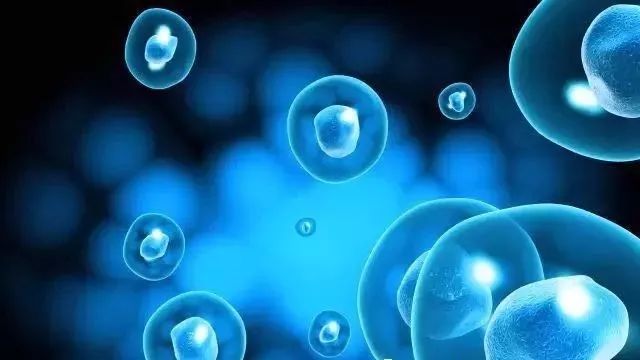 重生细胞破解版免付费_重生细胞内置作弊菜单_细胞重生
