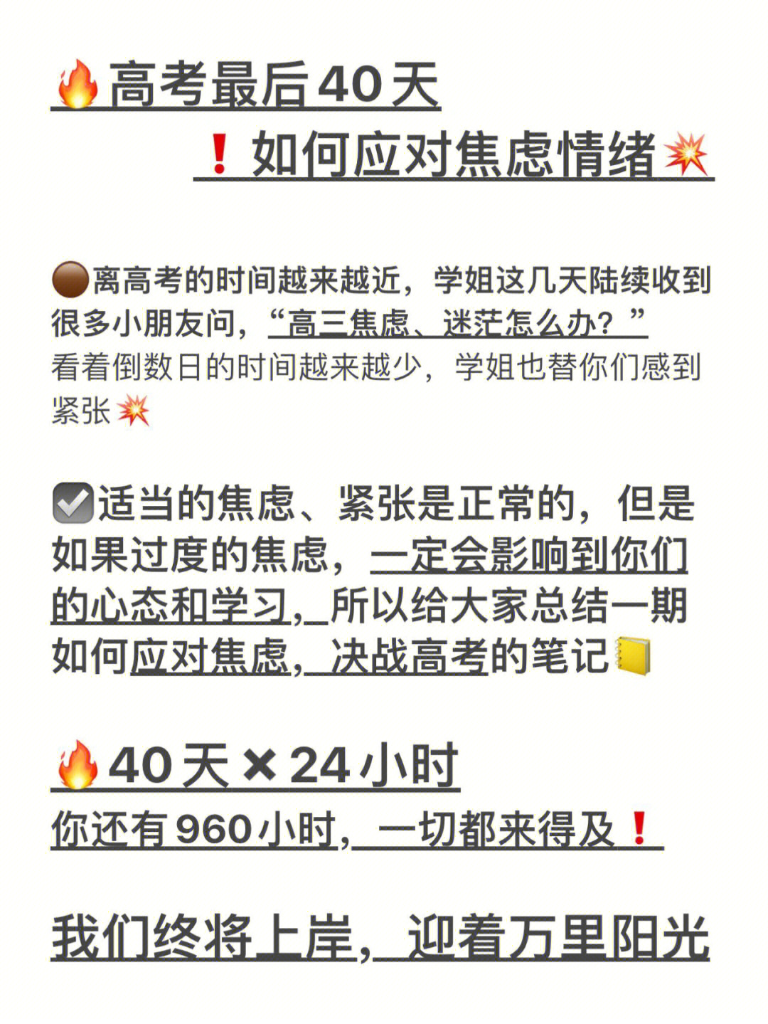 高考阳光高考网_阳光高考网下载_下载高考阳光平台