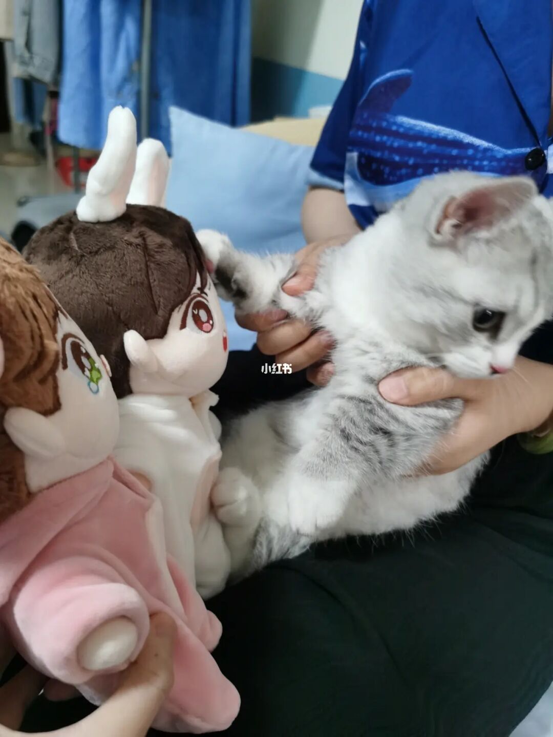 猫啵直播_猫啵直播_猫啵直播