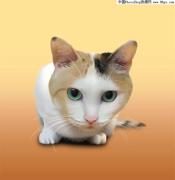资源猫下载_资源猫激活码共享_资源猫种子搜索网站