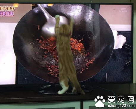 能看的网址你懂的_2016迅雷网址你们懂_手机在线网址你看的懂