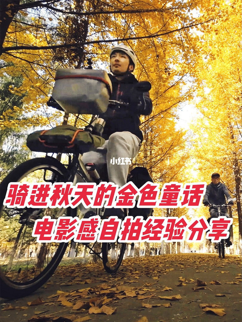 银杏视频在线观看高清免费资源下载_银杏视频在线观看高清免费资源下载_银杏视频在线观看高清免费资源下载