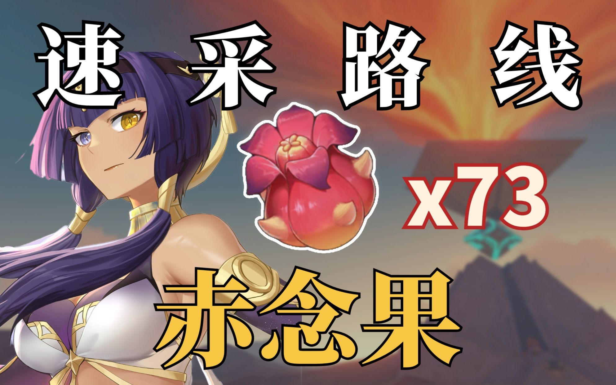 赤念果在哪里采摘_赤念果_赤念果在哪里采