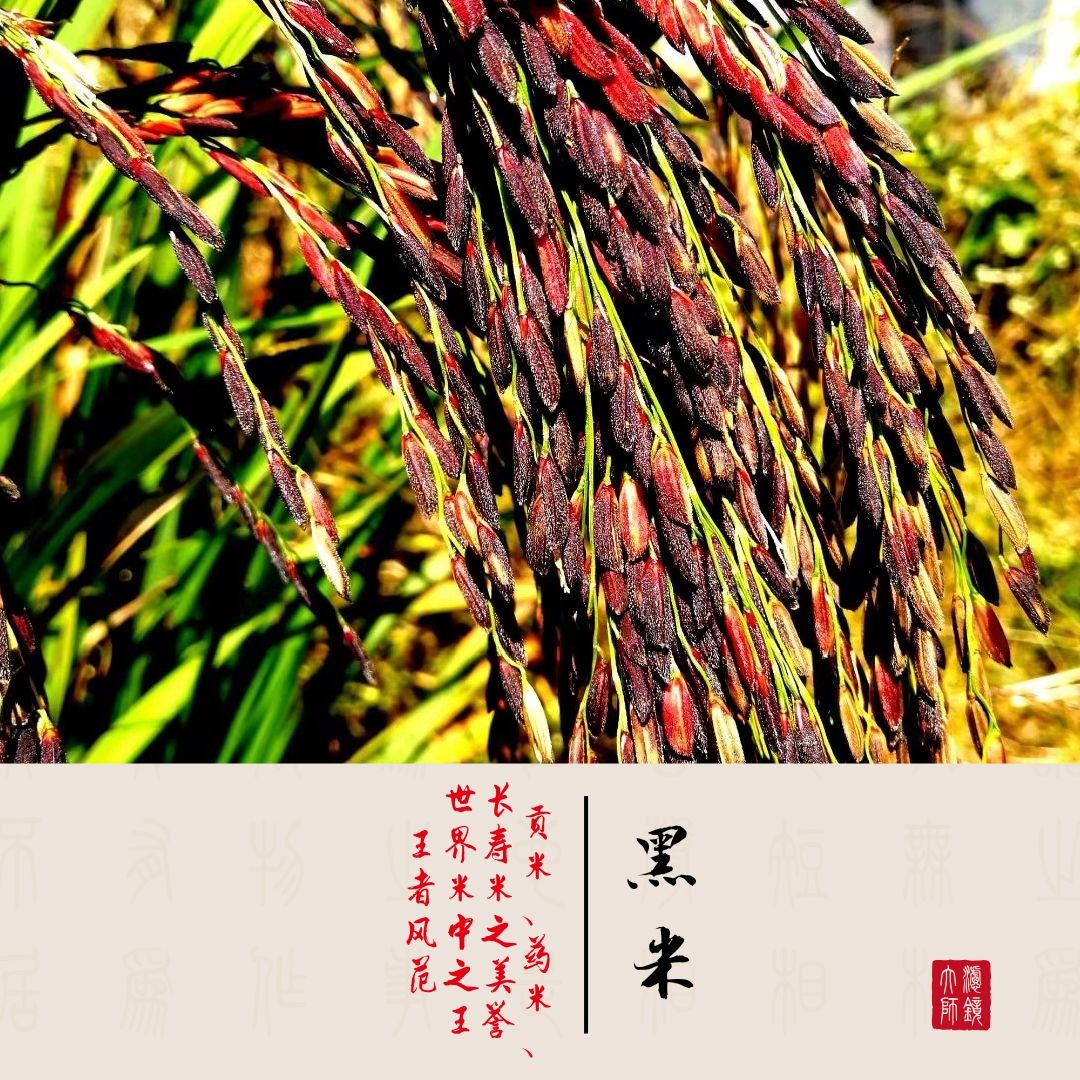 米山舞_米山_米山籼怎么读