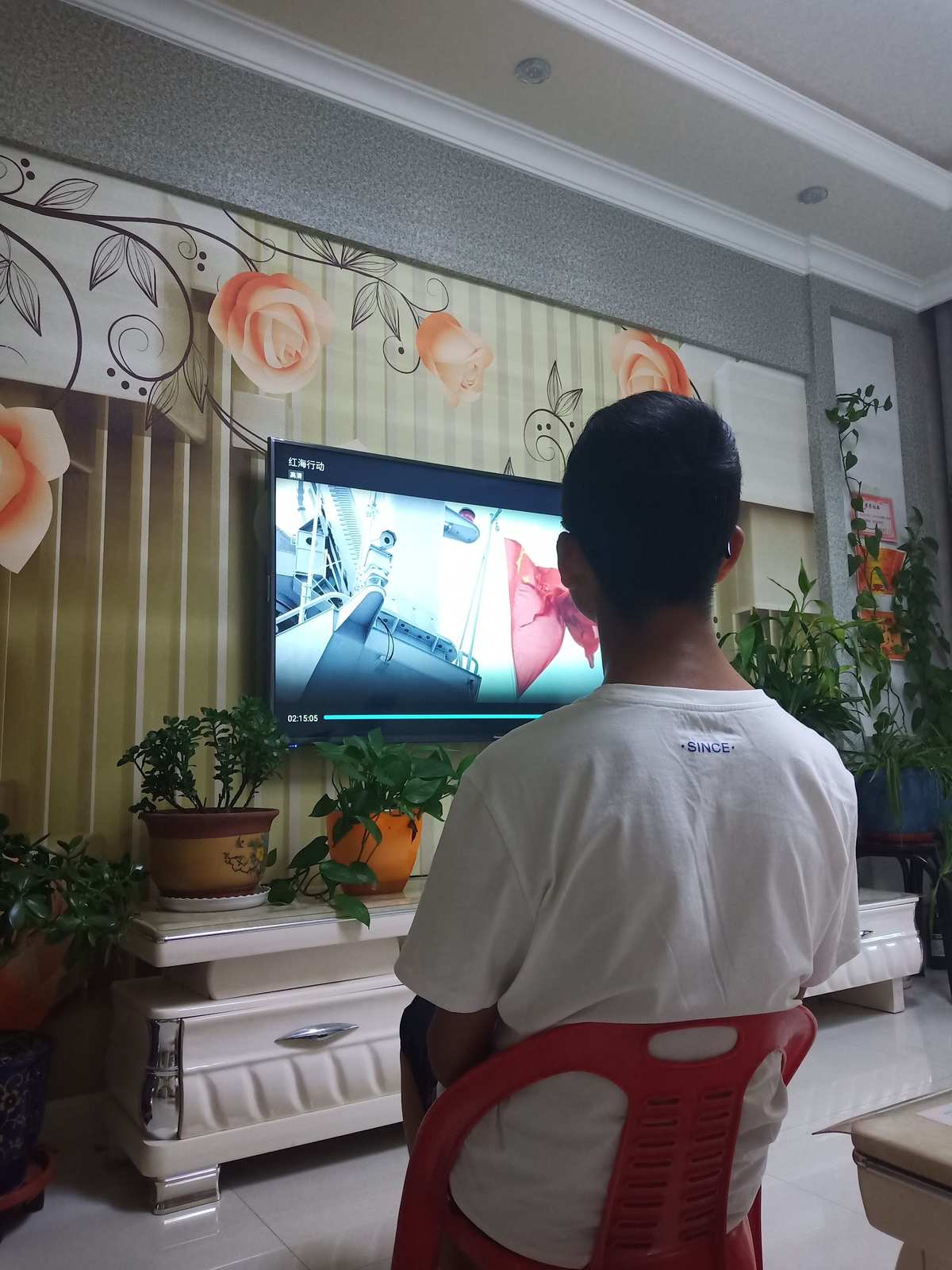 鲨鱼影视在线观看电影_在线左右3d电影观看_在线磁力链接观看电影