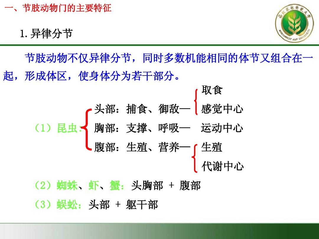 身体躯干波浪有_身体波浪包括_身体波浪的好处
