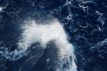 身体躯干波浪有_身体波浪包括_身体波浪的好处