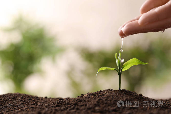 叶绿攻略一周目_叶绿攻略二周目_叶绿攻略