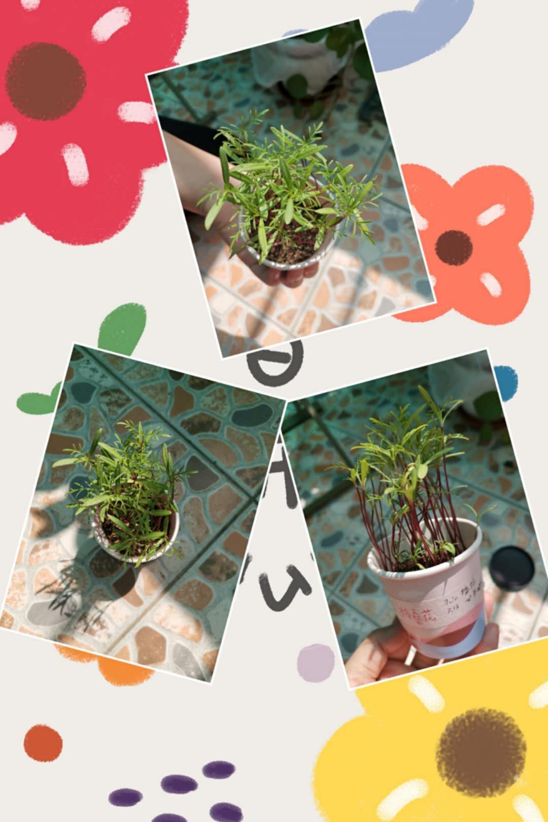 像素画我的世界_像素画世界电脑游戏_像素画世界游戏